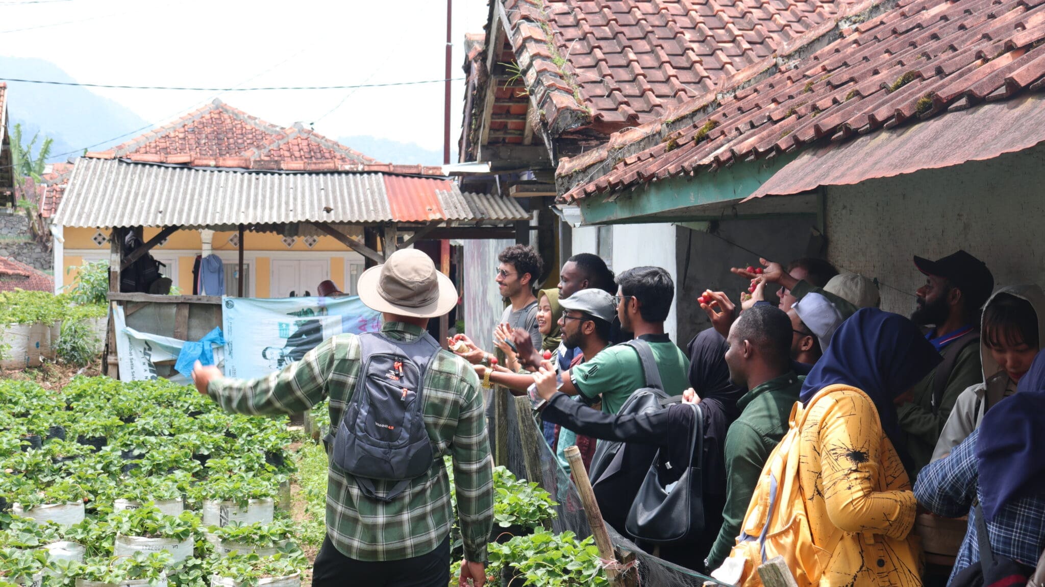 Mahasiswa BIPA mencoba buah stroberi